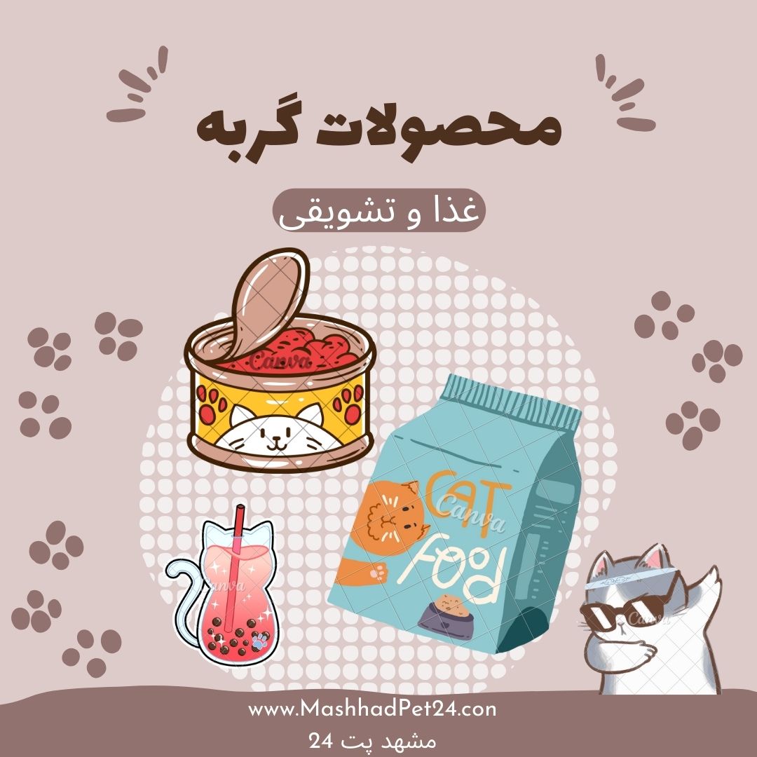 غذا گربه