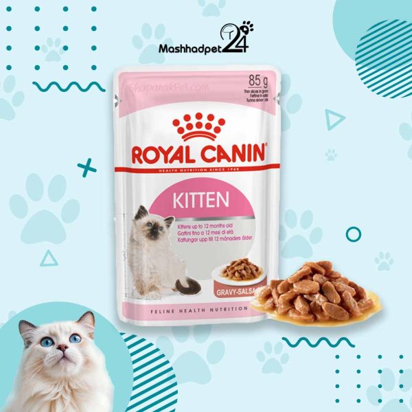 پوچ بچه گربه رویال کنین مدل Kitten | Gravy وزن 85 گرم
