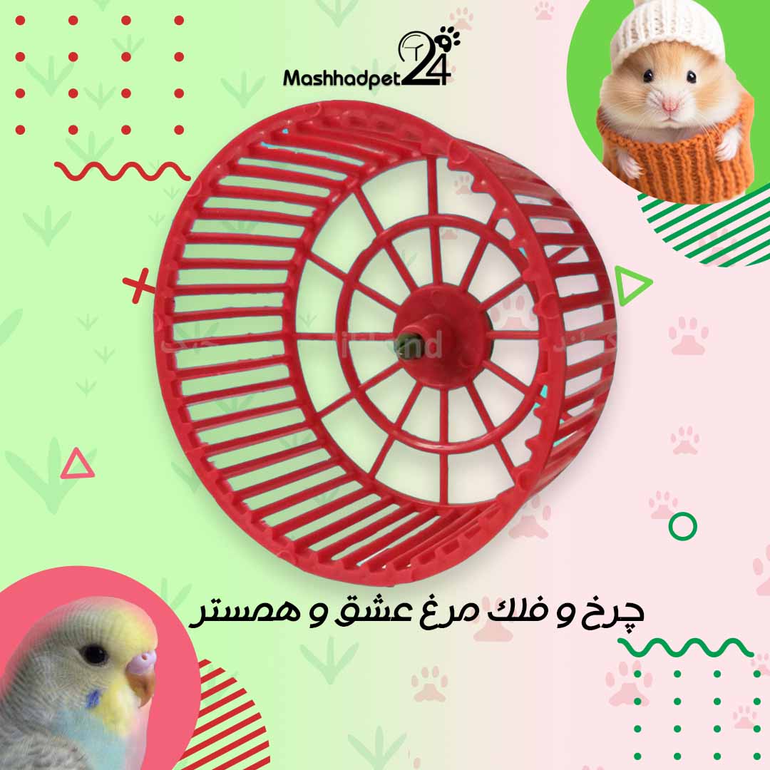 چرخ و فلک پرنده و جونده چرخ و فلک مرغ عشق و همستر . کواوبه برزیلی و ..... - تصویر 1
