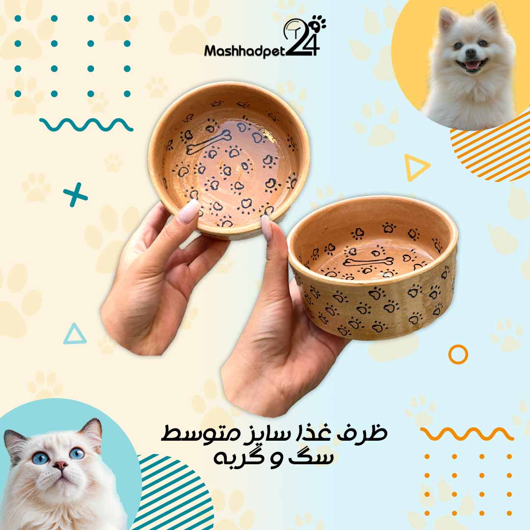 ظرف غذای سایز متوسط سگ و گربه ظرف غذای سفالی سگ و گربه سایز متوسط - تصویر 1