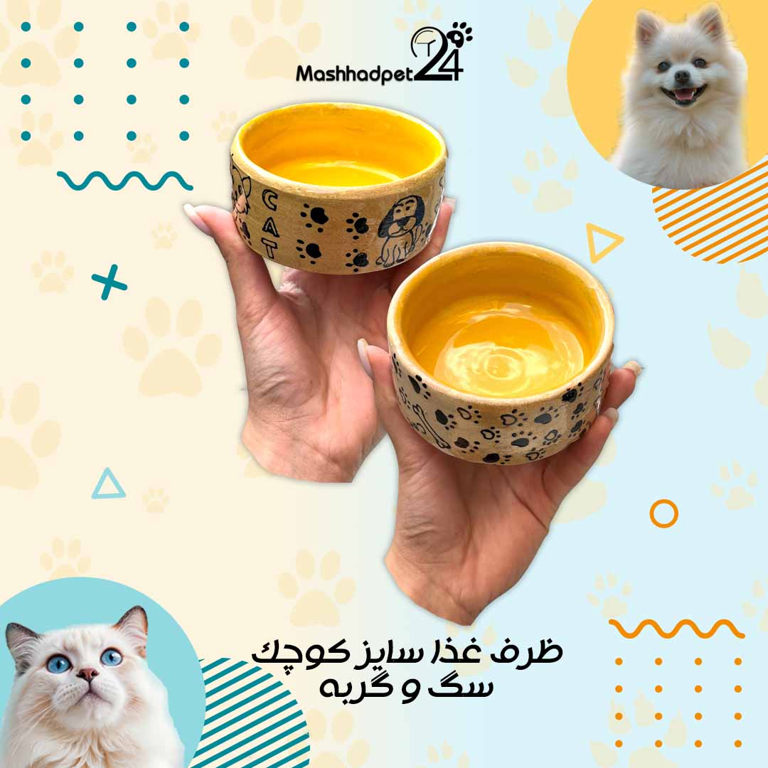 ظرف غذای کوچک زرد ظرف غذای سفالی سگ و گربه سایز کوچک رنگ زرد - تصویر 1