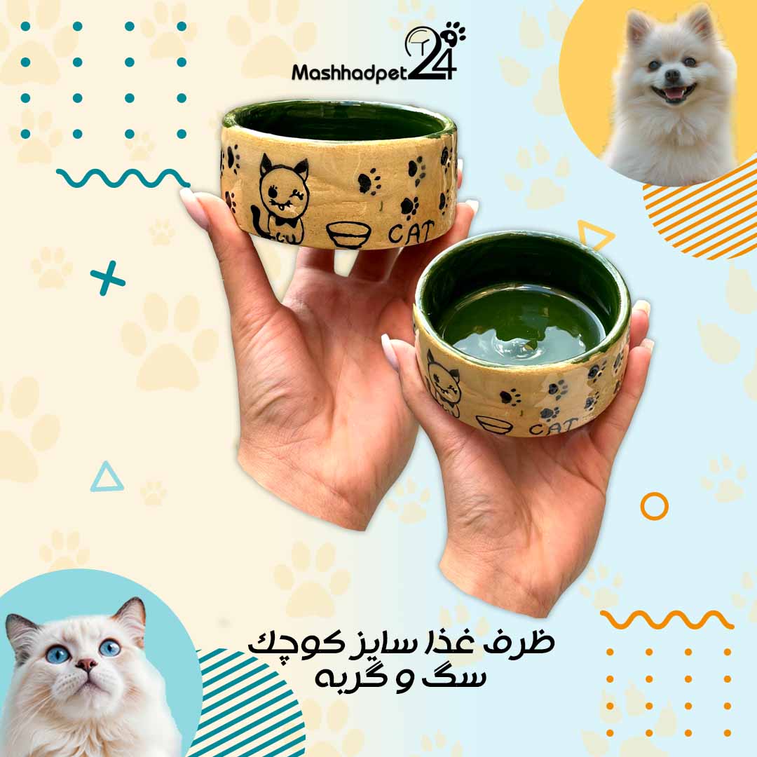 ظرف غذای کوچک سبز ظرف غذای سفالی سگ و گربه سایز کوچک رنگ سبز - تصویر 1