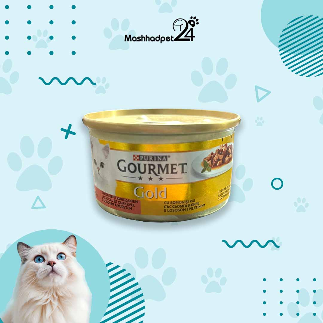 گورمت گلد گلبهی ماهی قزل آلا و مرغ کنسرو گورمت گلد گربه با طعم ماهی قزل آلا و مرغ 85 گرمی - تصویر 1