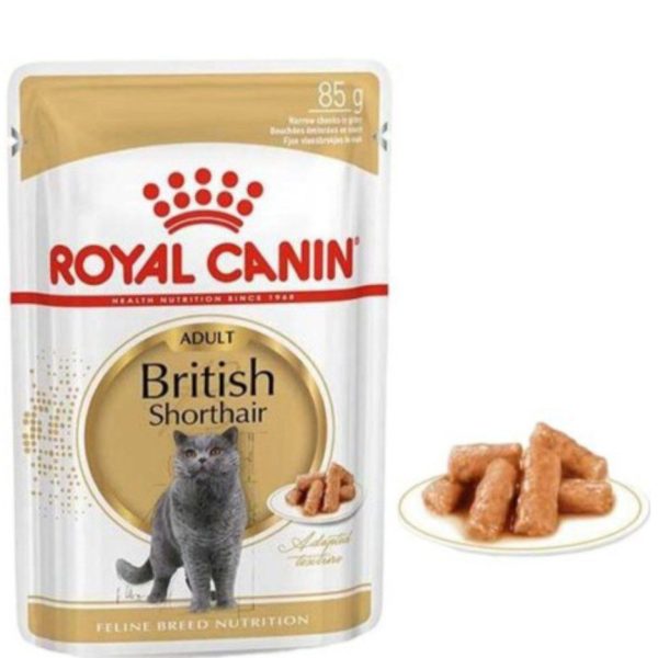 پوچ گربه رویال کنین مدل British Shorthair